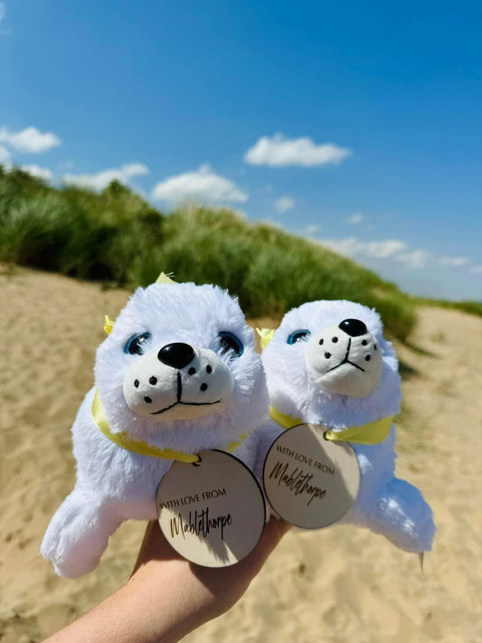 Mablethorpe Seals